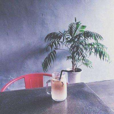bilibili游戏机动战姬下载