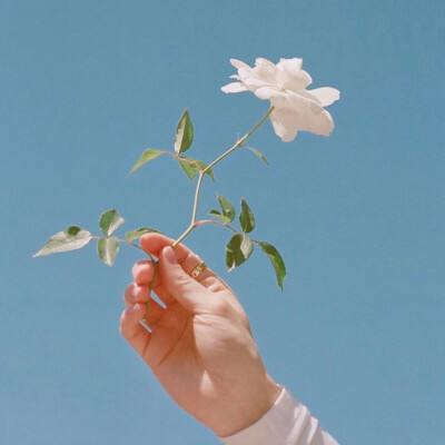 三十六计渠道版手游下载